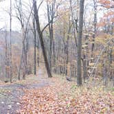 Review photo of Mauthe Lake Campground — Kettle Moraine State Forest-Northern Unit-Iansr by Adam E., October 22, 2020