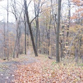 Review photo of Northern Unit Mauthe Lake — Kettle Moraine State Forest-Northern Unit-Iansr by Adam E., October 22, 2020