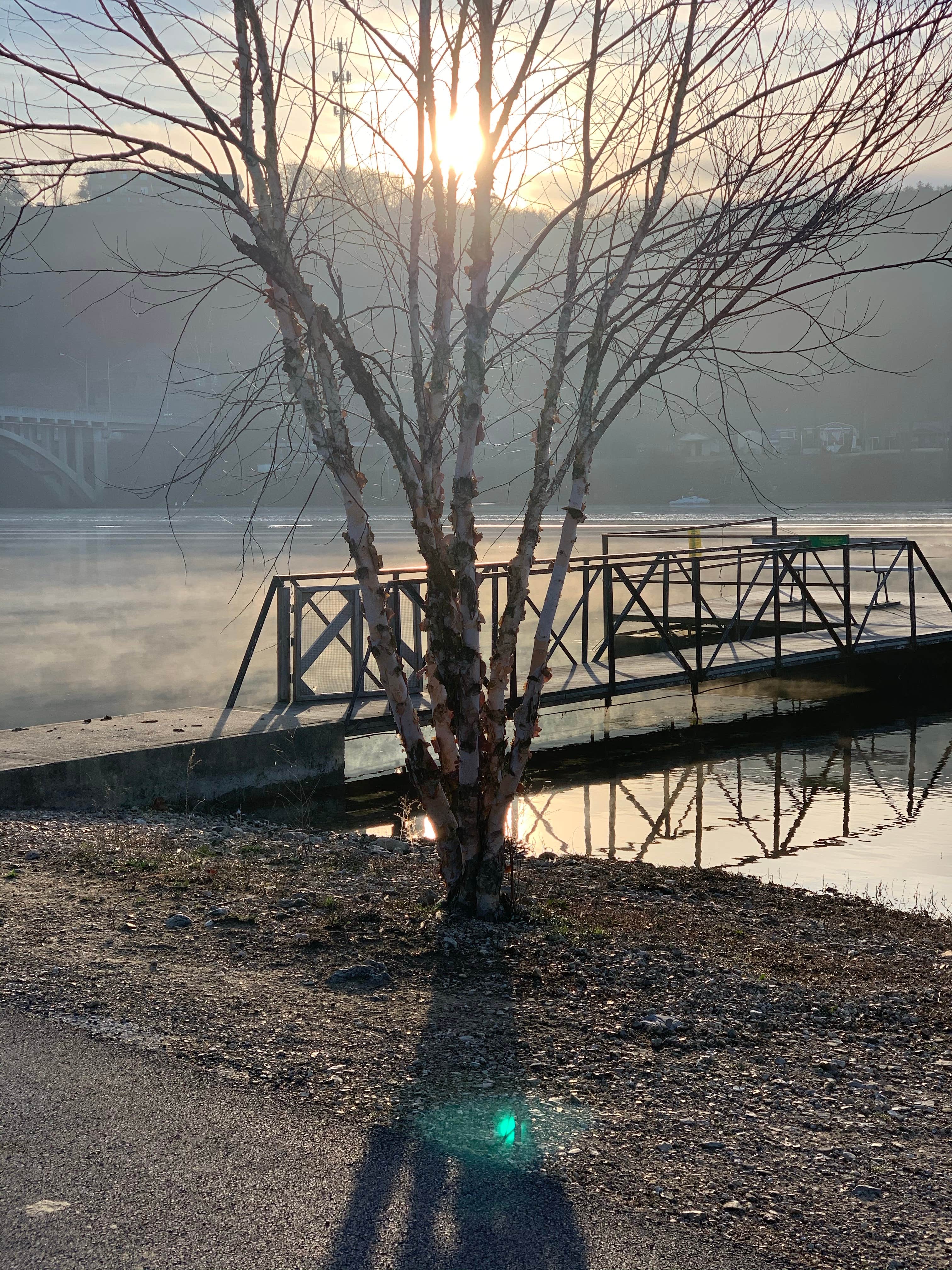 Camper submitted image from Branson Lakeside RV Park - 3