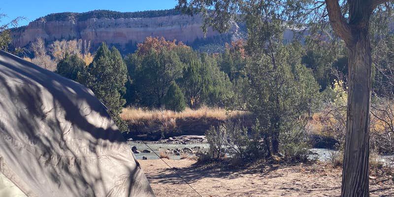 Camper submitted image from Rio Chama Campground