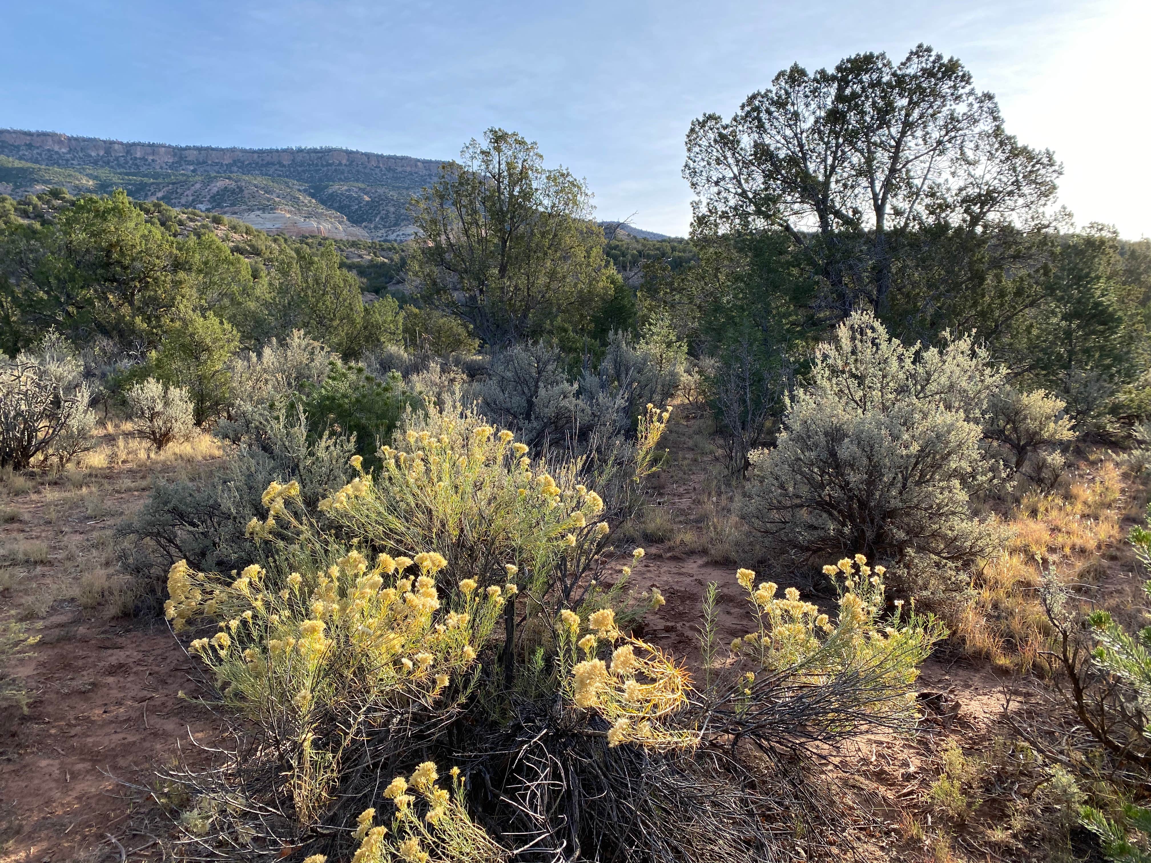Rio Chama Campground