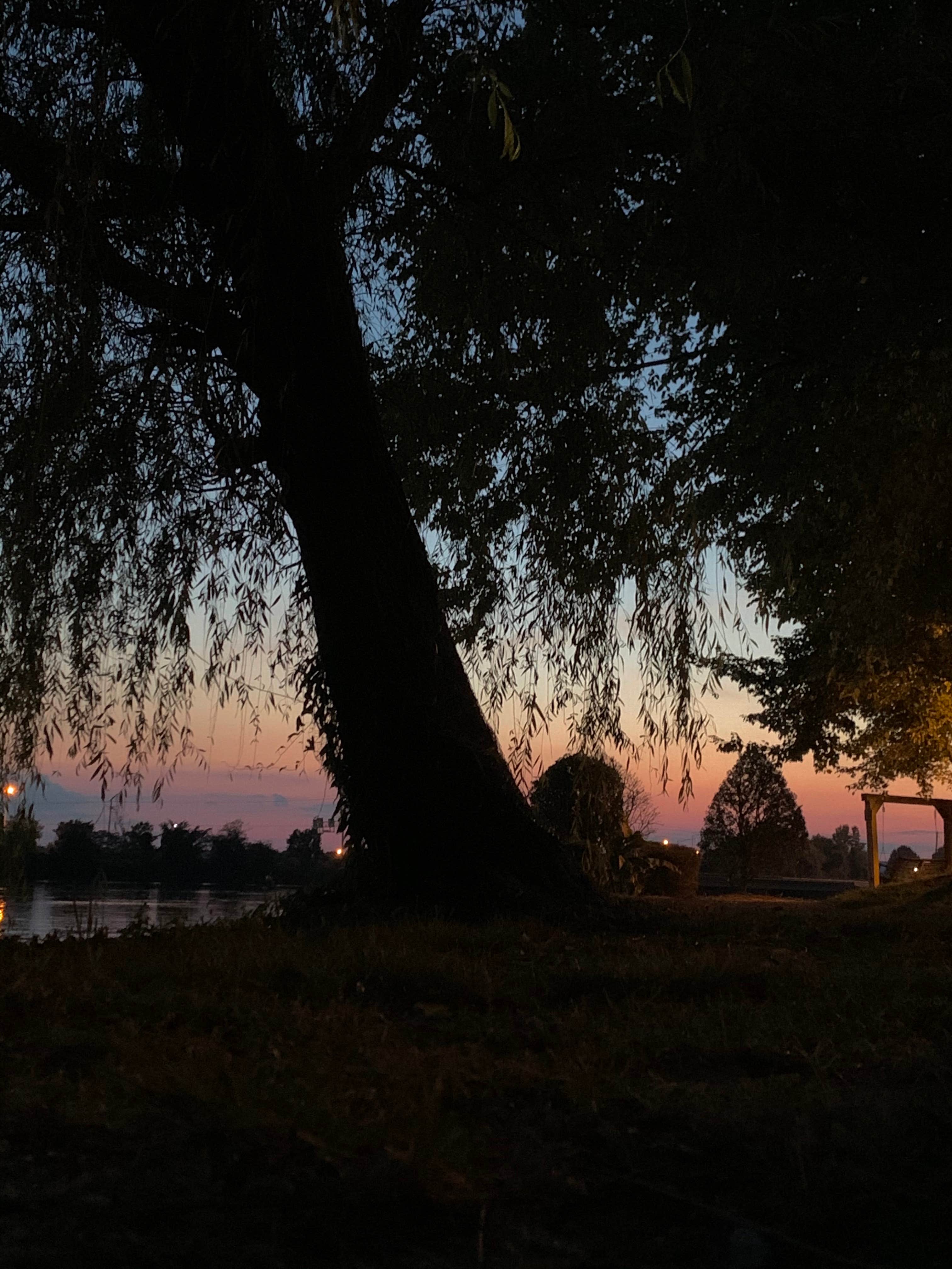 Camper-submitted photo at River Rocks Landing near Rainbow City, AL