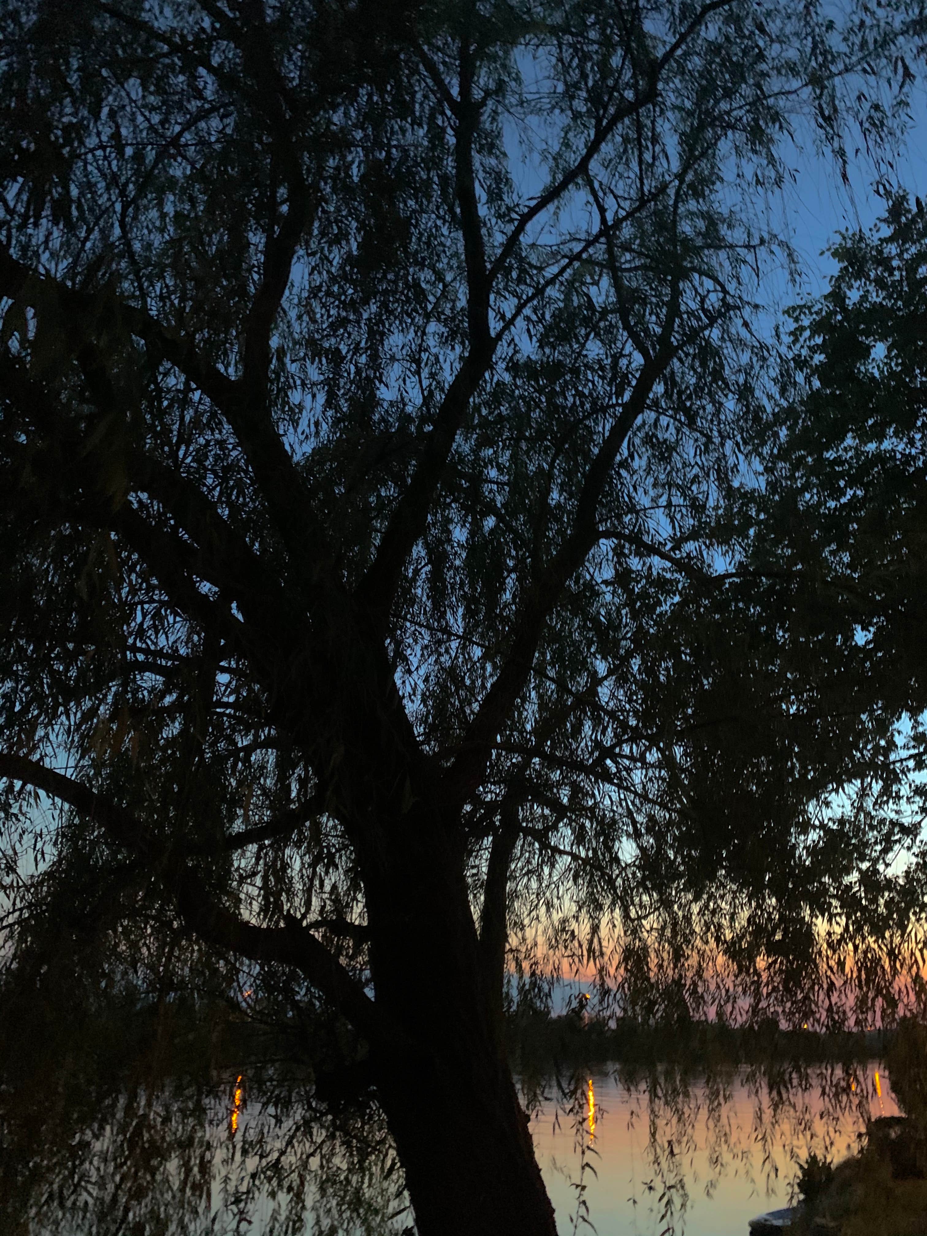 Camper-submitted photo at River Rocks Landing near Rainbow City, AL