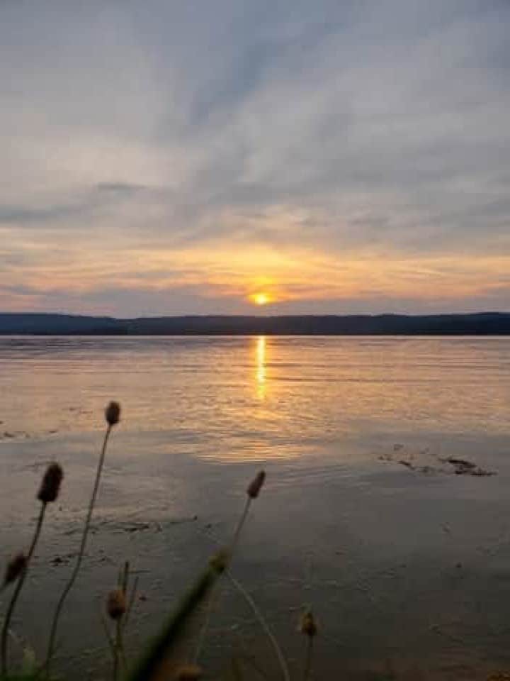 Camper-submitted photo at Little Mountain Marina Resort near Woodville, AL