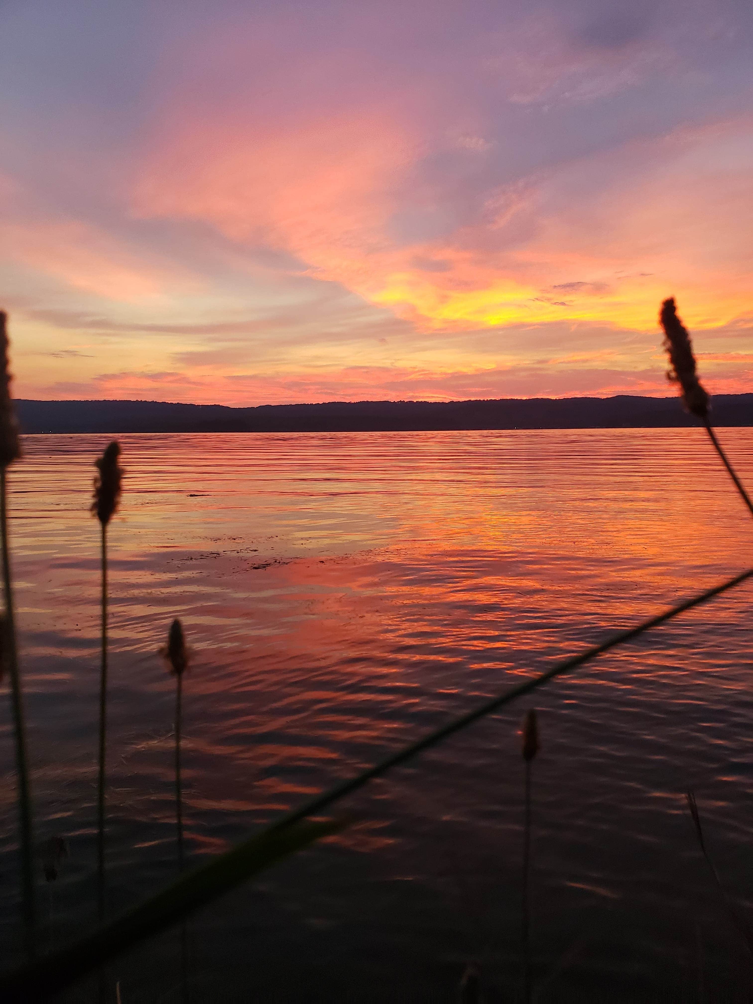 Camper-submitted photo at Little Mountain Marina Resort near Woodville, AL