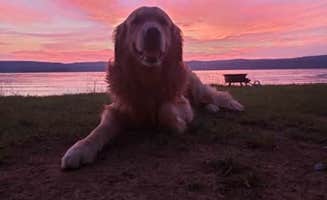 Elizabeth P.'s photo of camping with pets at Little Mountain Marina Resort near Normal, AL