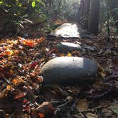 Review photo of Julian Price Park Campground — Blue Ridge Parkway by Sonja Y., May 21, 2018