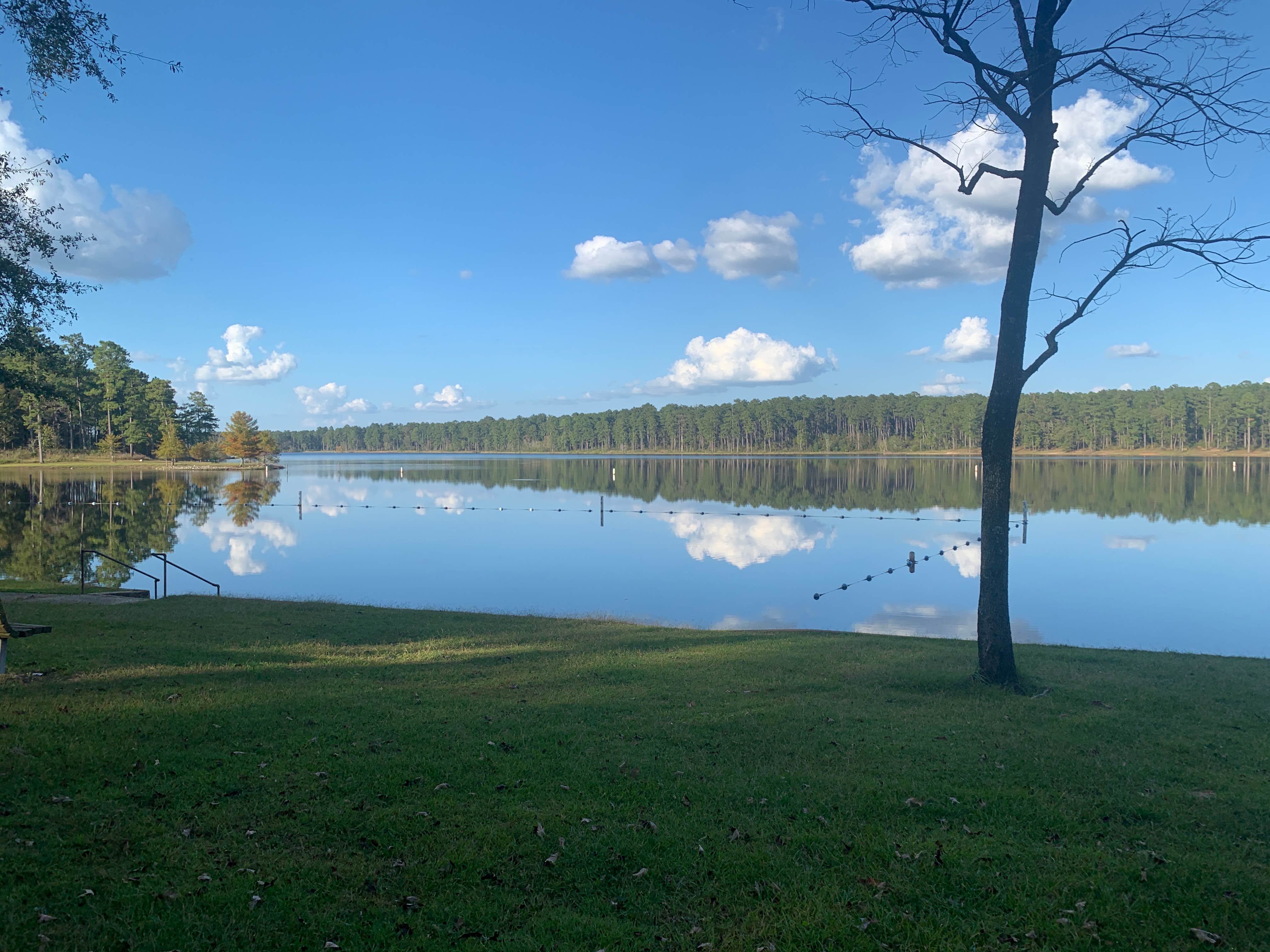 Turkey Fork Rec Area The Dyrt