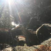 Review photo of Julian Price Park Campground — Blue Ridge Parkway by Sonja Y., May 21, 2018