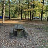 Review photo of Devil's Den State Park Campground by Alexandra T., October 22, 2020