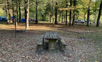 Alexandra T.'s photo at Devil's Den State Park Campground in Arkansas