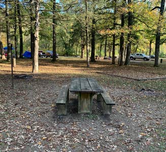 THE 10+ BEST Campgrounds in Arkansas