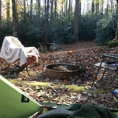 Review photo of Julian Price Park Campground — Blue Ridge Parkway by Sonja Y., May 21, 2018