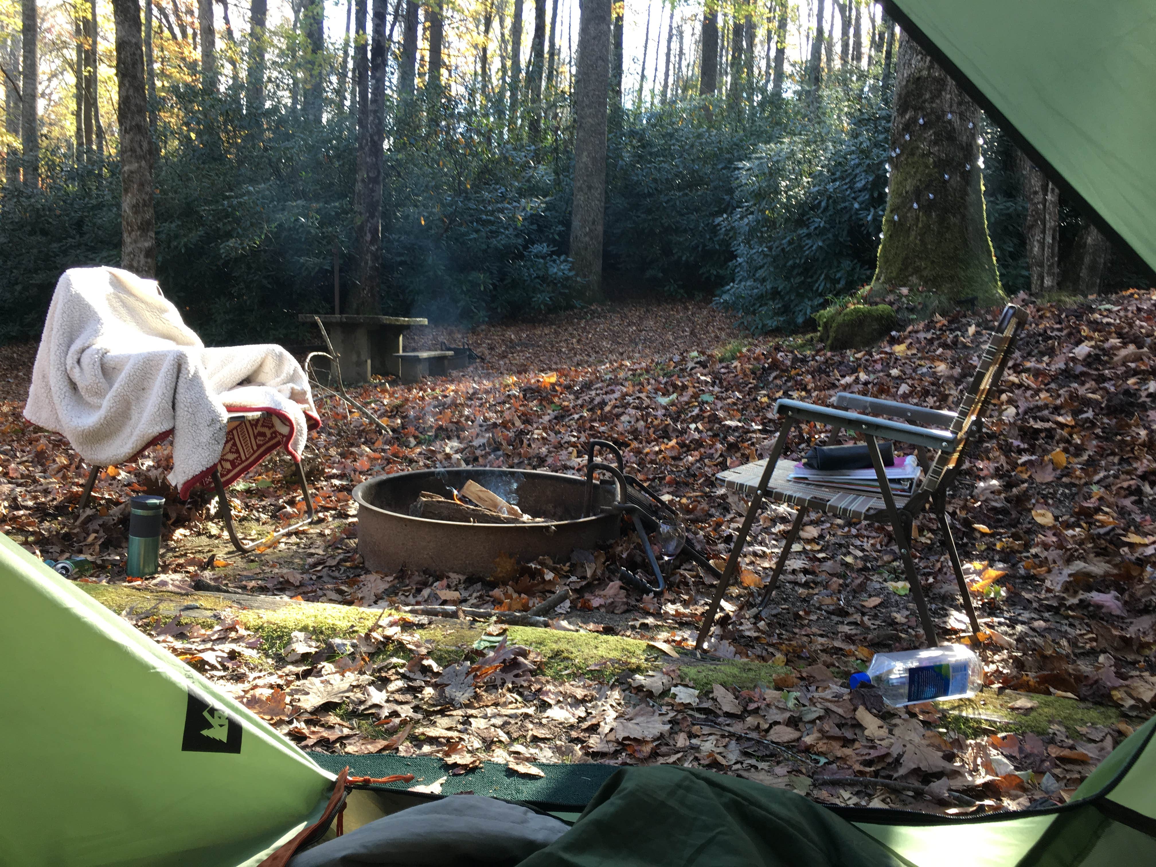 Camper submitted image from Julian Price Park Campground — Blue Ridge Parkway - 2