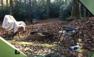Sonja Y.'s photo at Julian Price Park Campground — Blue Ridge Parkway near Blowing Rock, NC