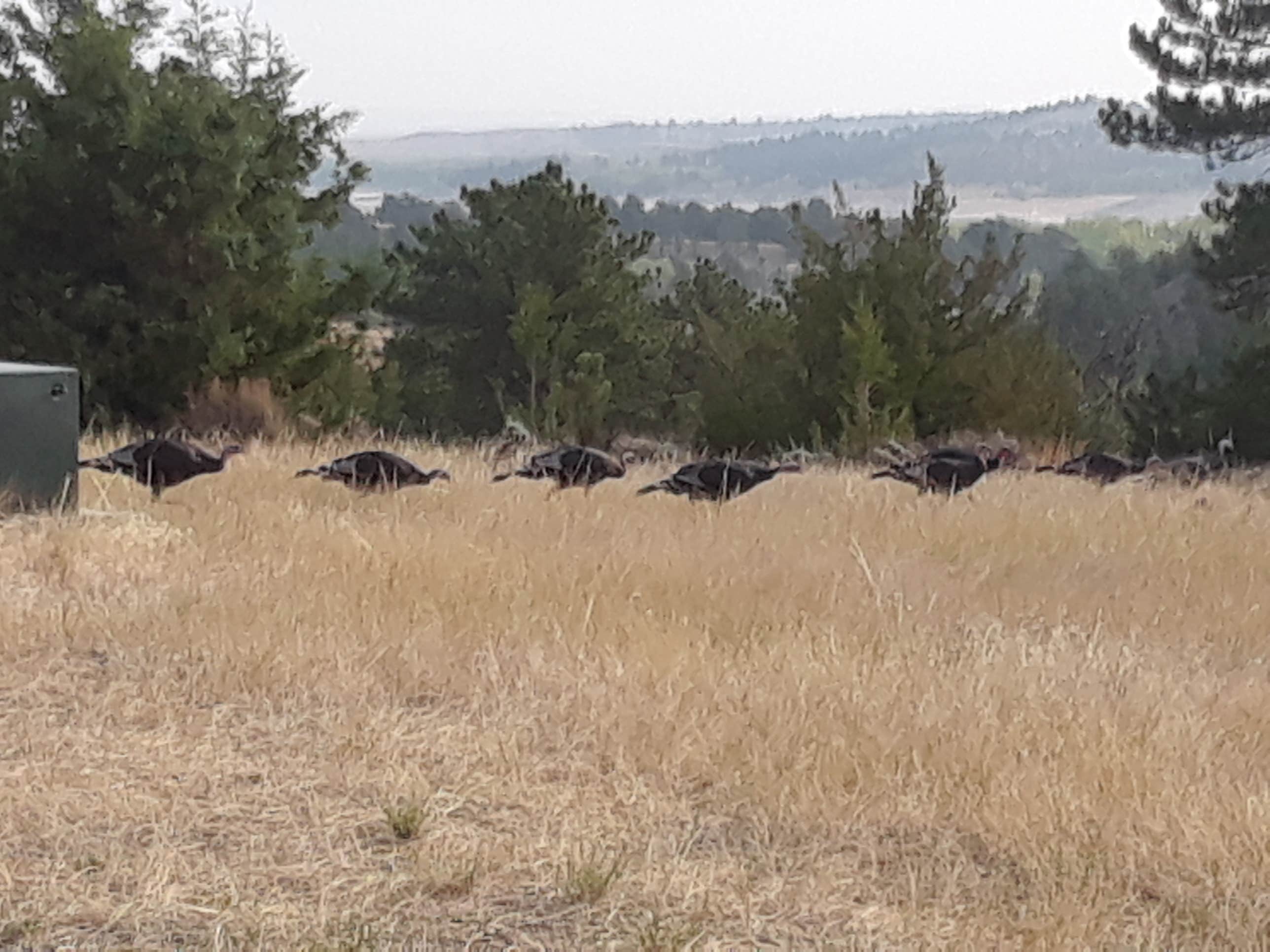 Camping near Prairie View Campground: Reno Cove — Glendo State Park, Glendo, Wyoming