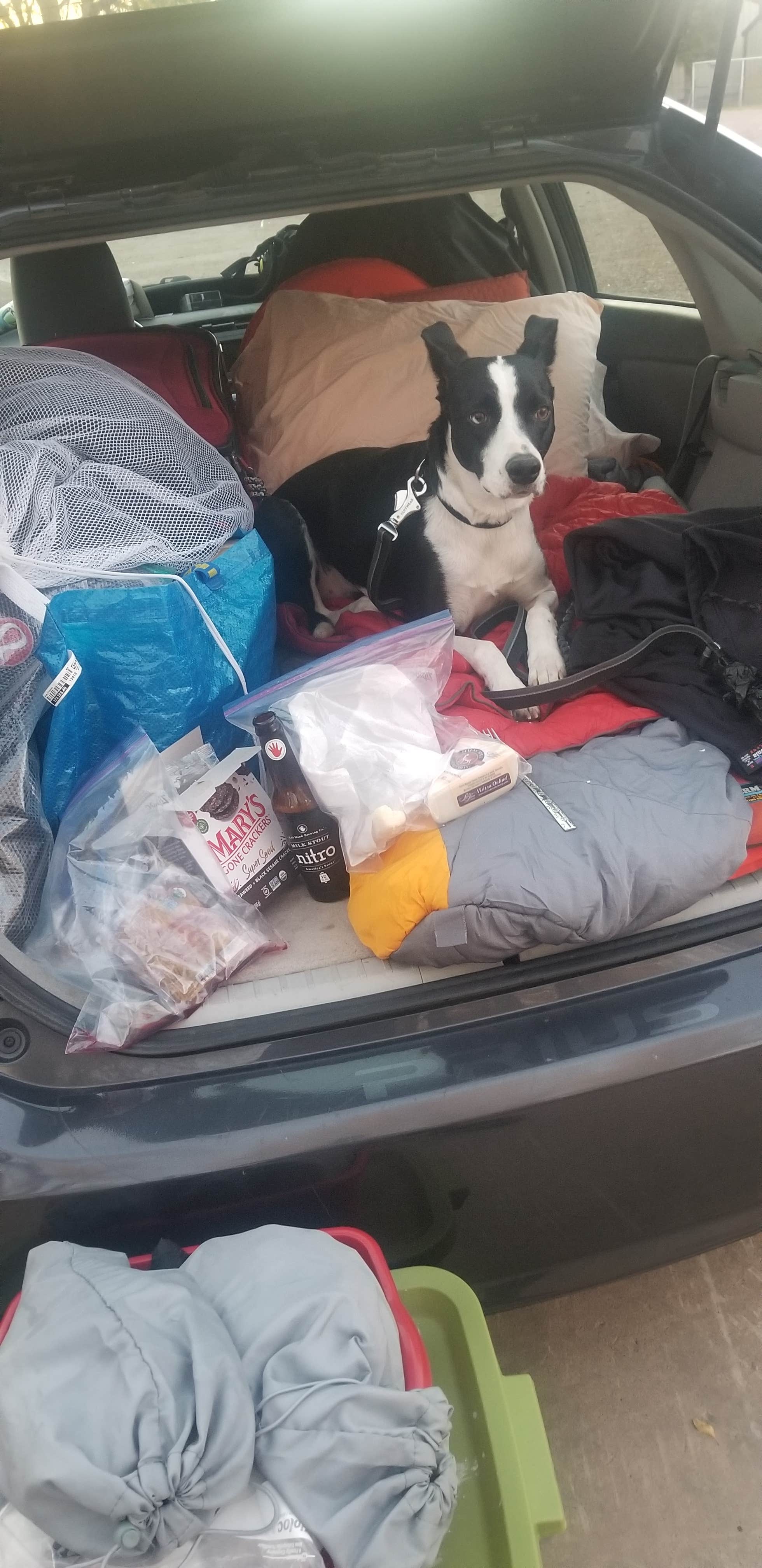 Camper-submitted photo at Fort Bridger RV Camp near Evanston, WY