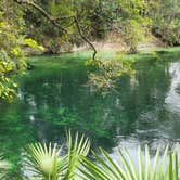 Review photo of Blue Spring State Park Campground by Mimi B., October 22, 2020