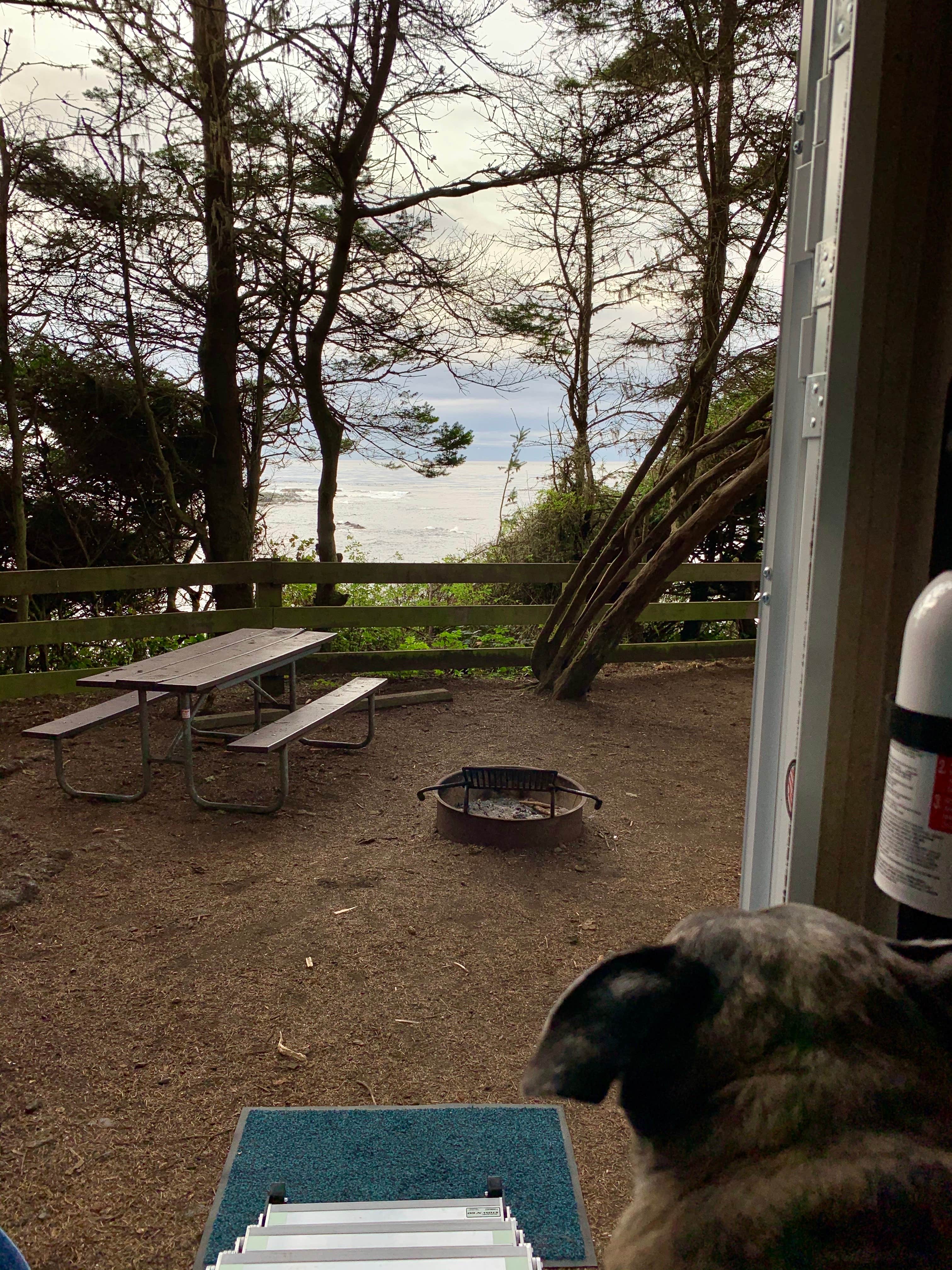 David M.'s photo of camping with pets at Salt Creek Recreation Area in Washington