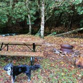 Review photo of Appalachian Campground  by Natasha , October 22, 2020