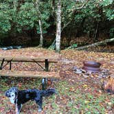 Review photo of Appalachian Campground by Natasha , October 22, 2020