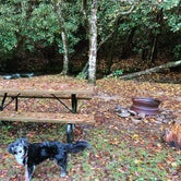 Review photo of Appalachian Campground  by Natasha , October 22, 2020