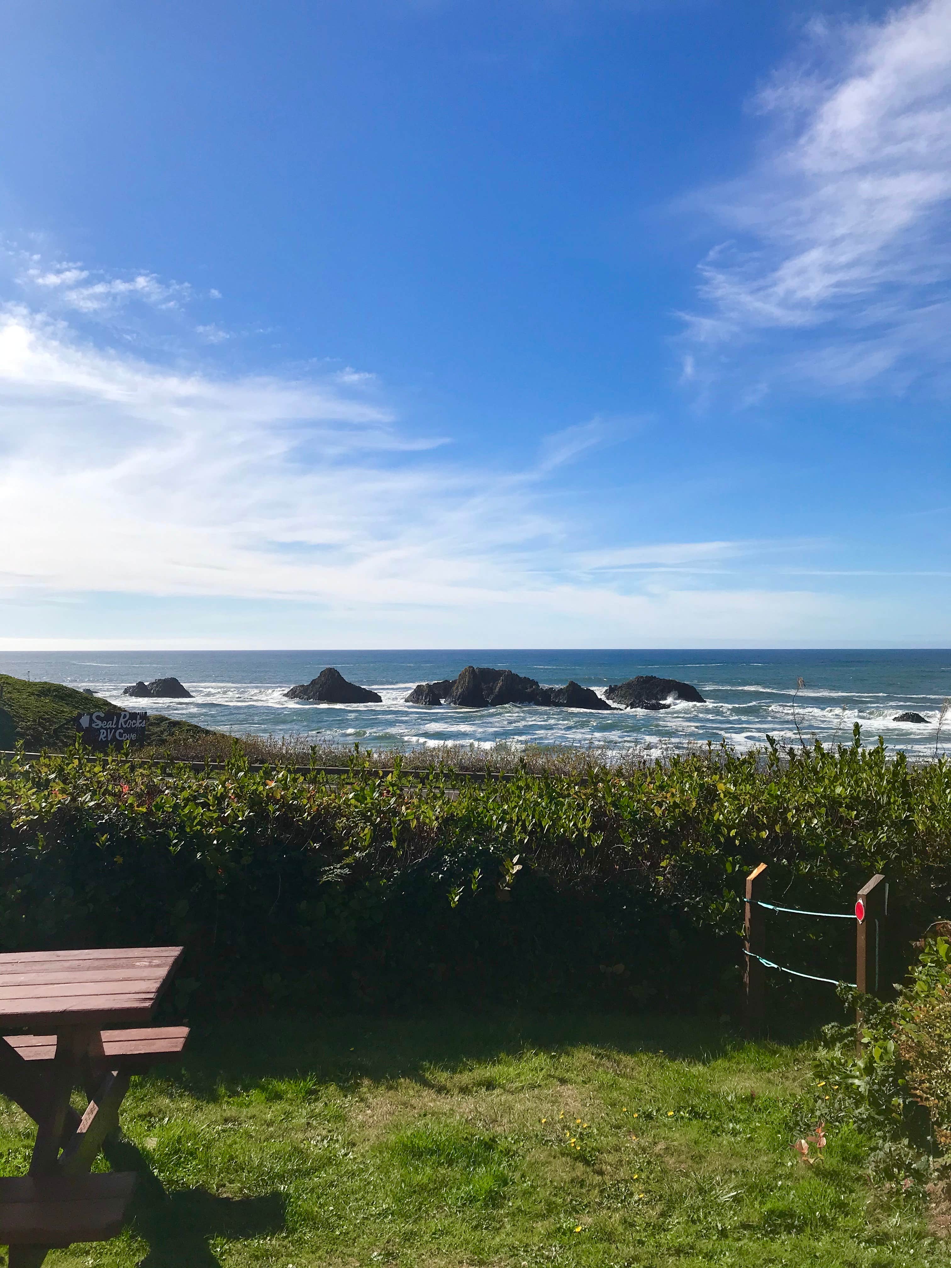 Camper submitted image from Seal Rocks RV Cove - 5