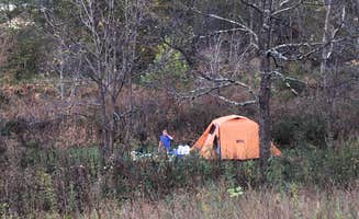 Kerrie N.'s photo at Wagoner — New River State Park near Jefferson, NC