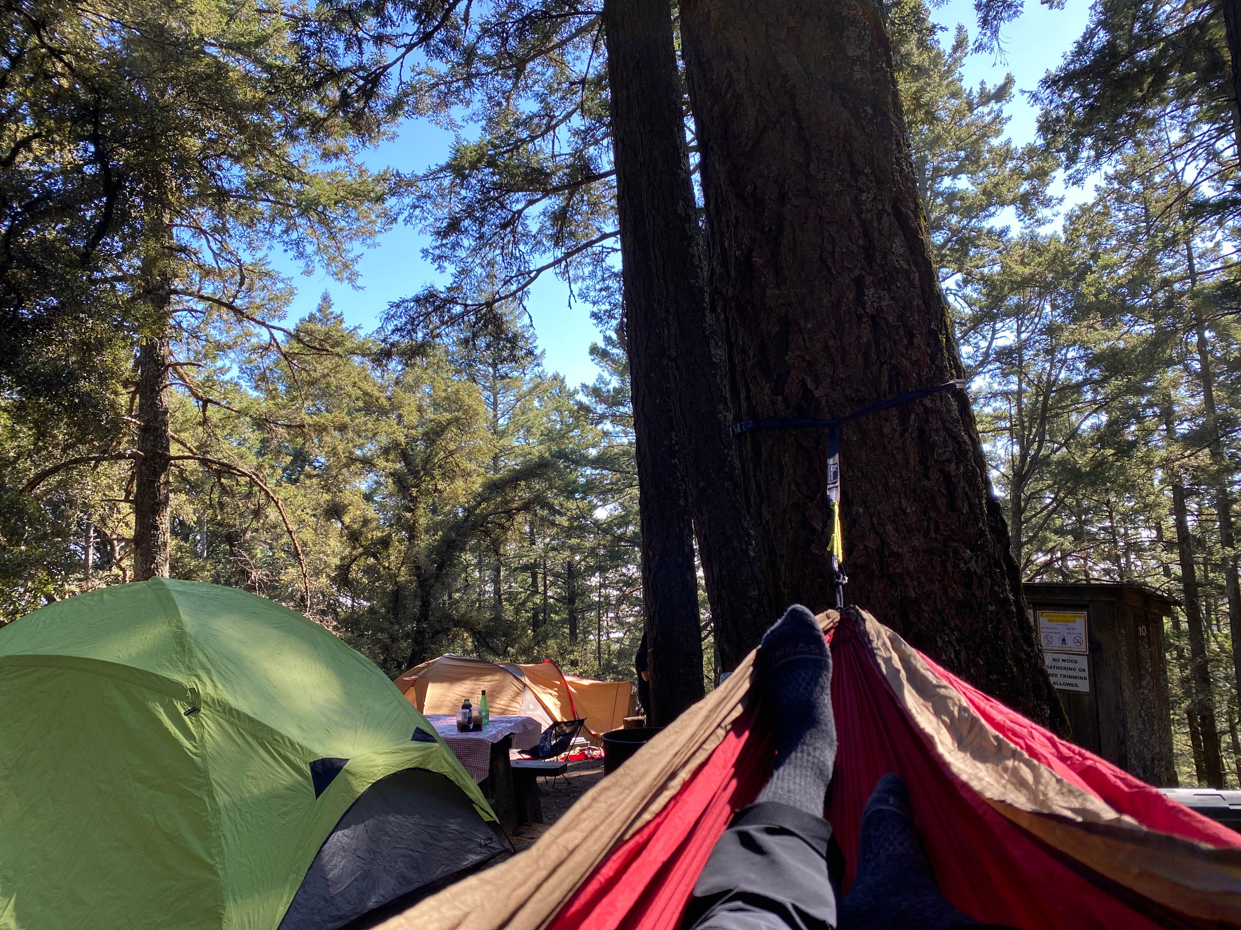 Samantha T.'s photo of tent camping at Pantoll Campground — Mount Tamalpais State Park near Port Costa, CA