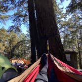 Review photo of Pantoll Campground by Samantha T., October 22, 2020