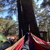 Review photo of Pantoll Campground — Mount Tamalpais State Park by Samantha T., October 22, 2020