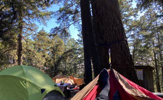 Samantha T.'s photo at Pantoll Campground — Mount Tamalpais State Park near Port Costa, CA