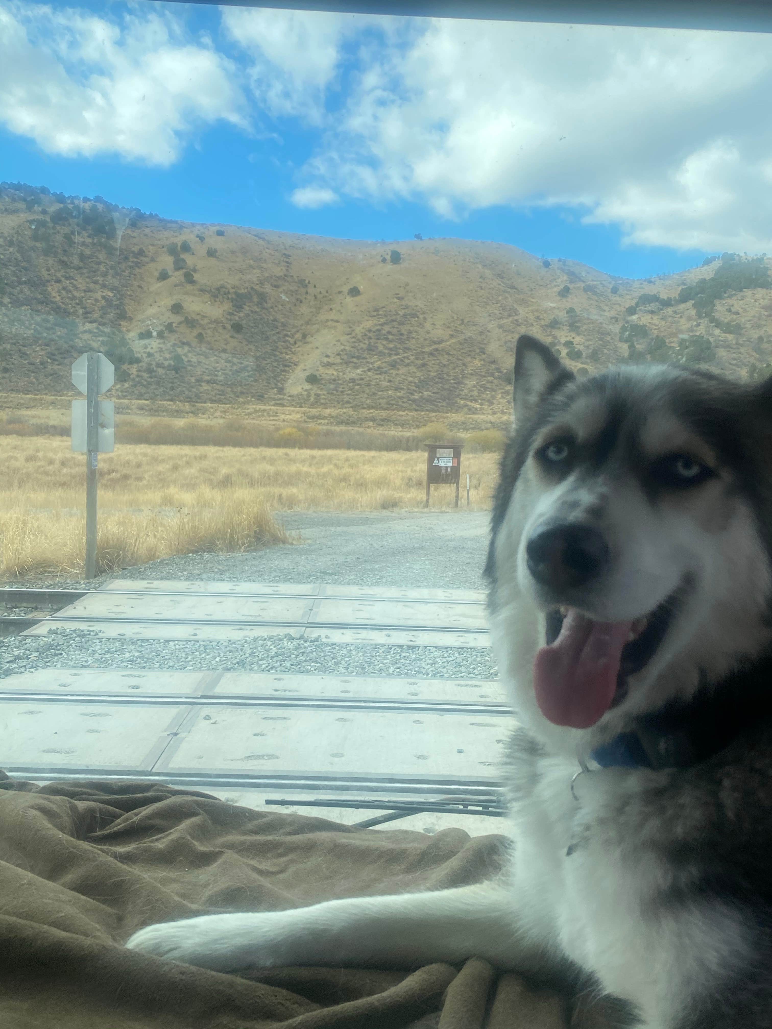 Chelsey M.'s photo of camping with pets at Lower portneuf campground near Malad City, ID