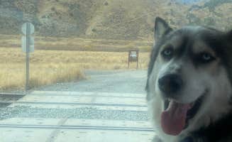 Chelsey M.'s photo of camping with pets at Lower portneuf campground near Inkom, ID