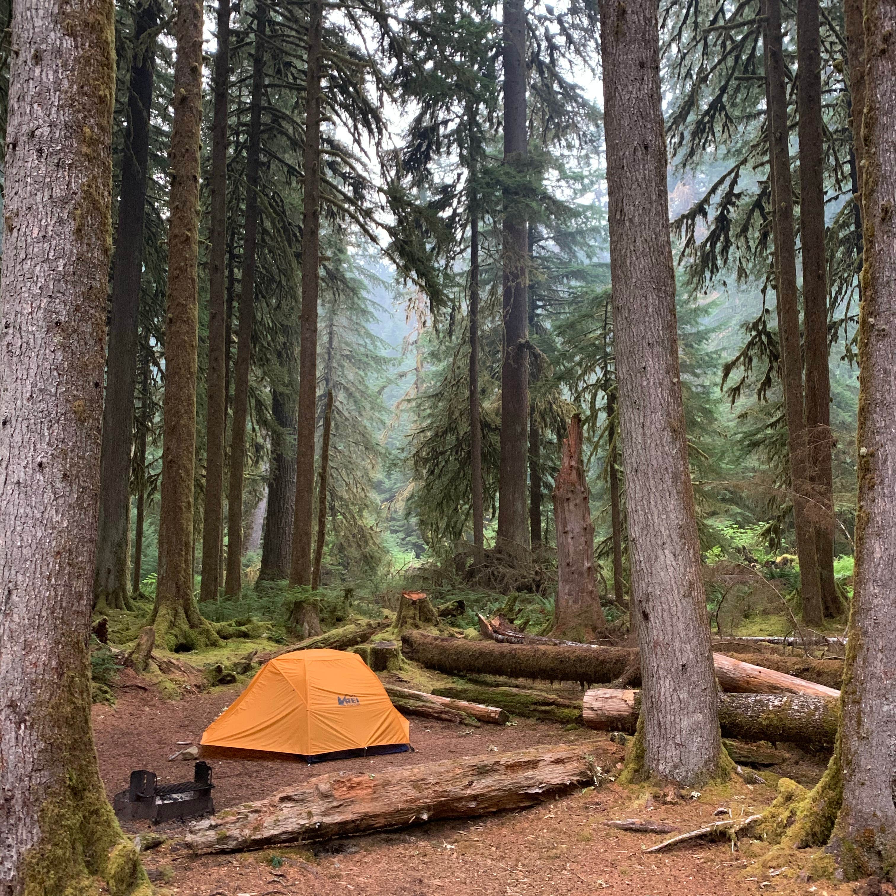 Sable's photo at Sol Duc Hot Springs Resort Campground — Olympic National Park near Olympic National Park