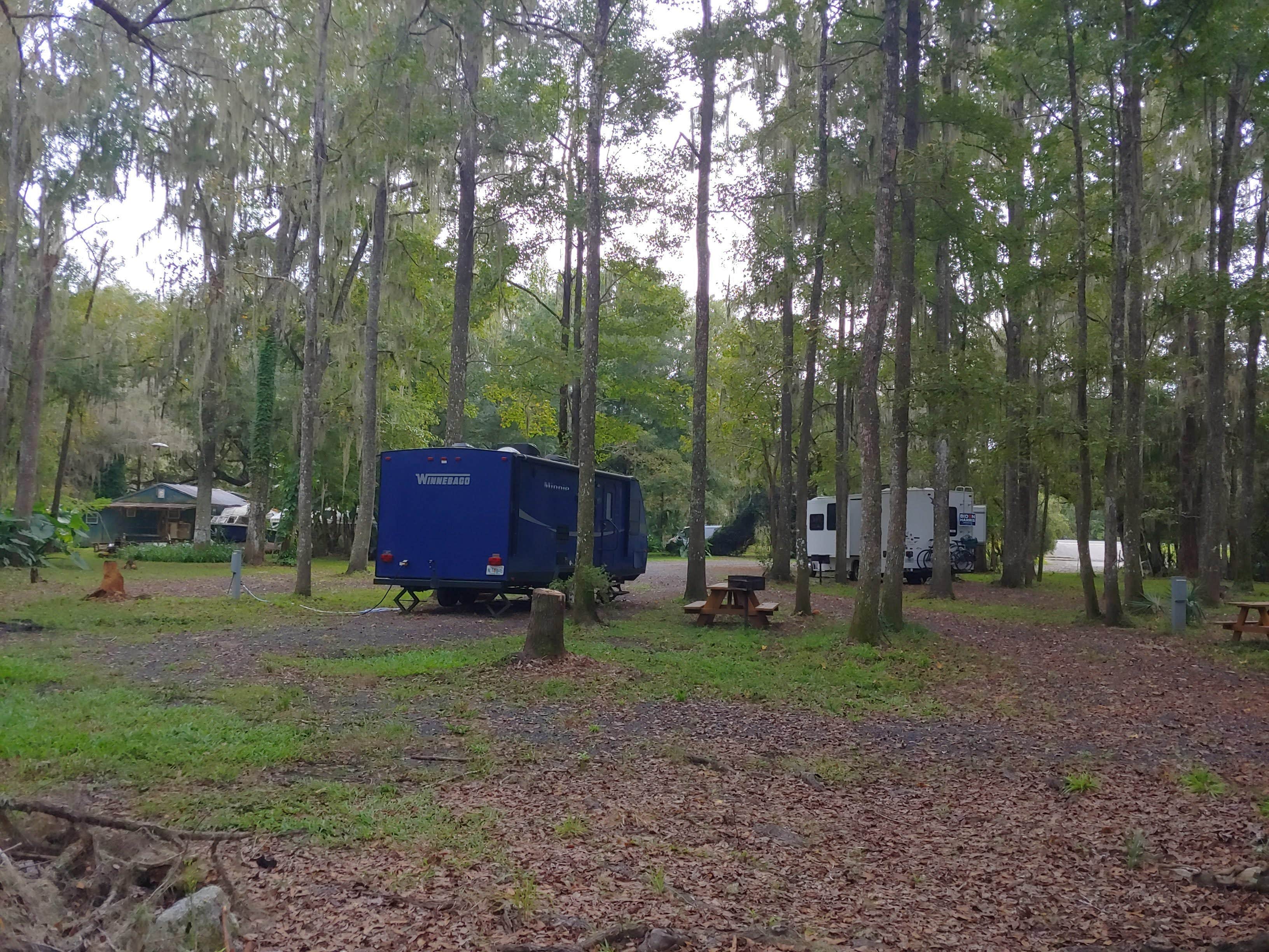 Camper submitted image from Kate’s Fish Camp - 2