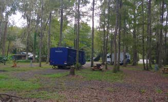 Laura M.'s photo at Kate’s Fish Camp near Archer, FL