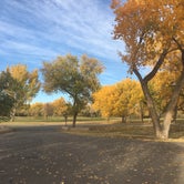 Review photo of Green River State Park Campground — Green River State Park by Caleb C., October 21, 2020