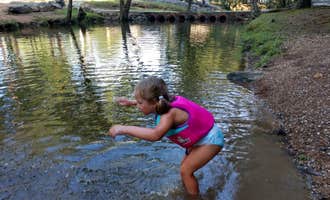 Camping near Brookside Greenway Park: Tannehill Ironworks Historical State Park Campground, Green Pond, Alabama