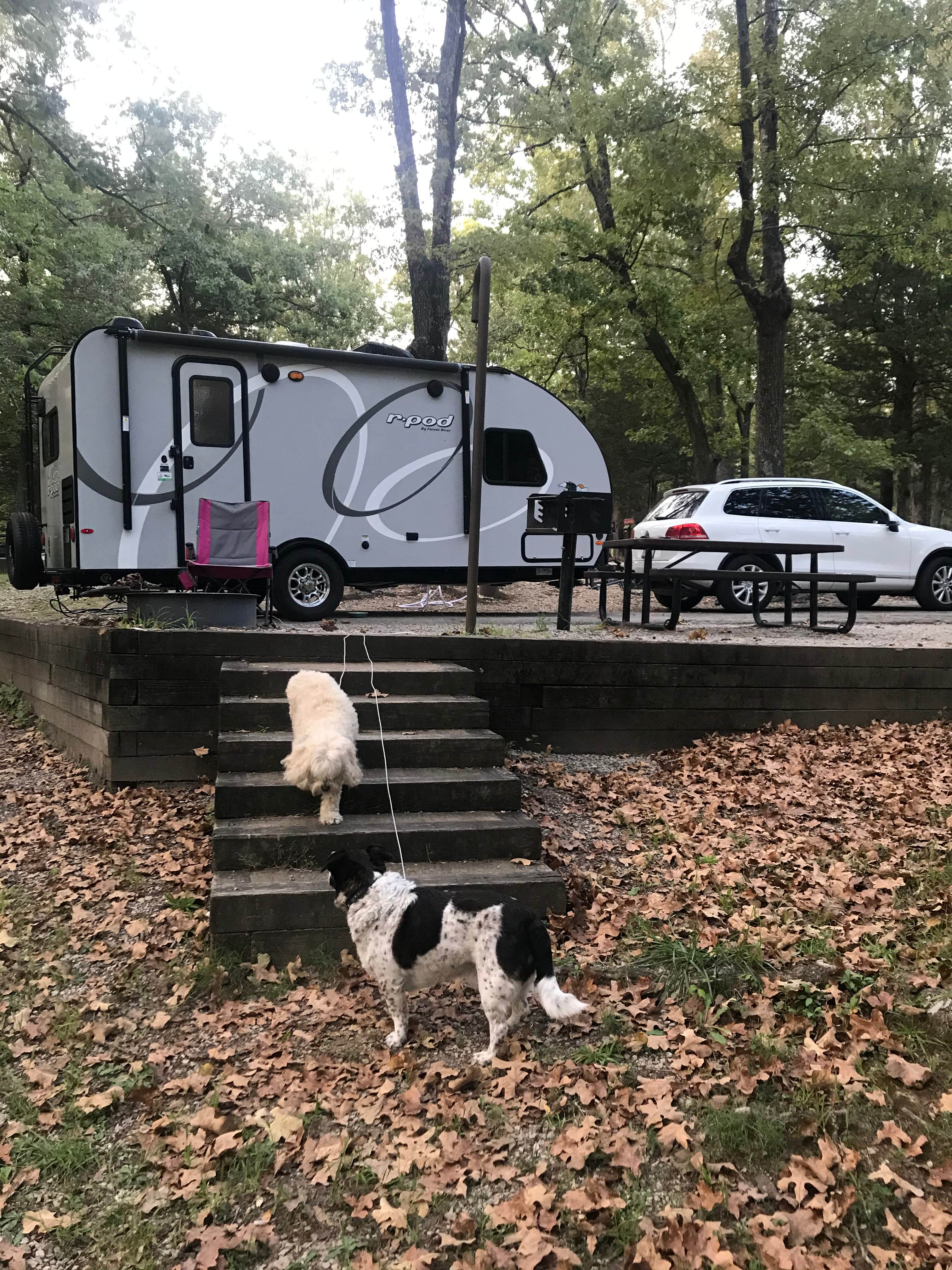 Janice R.'s photo of camping with pets at Lake Charles State Park Campground near Batesville, AR