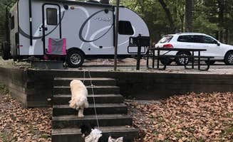 Janice R.'s photo of camping with pets at Lake Charles State Park Campground near Thayer, MO