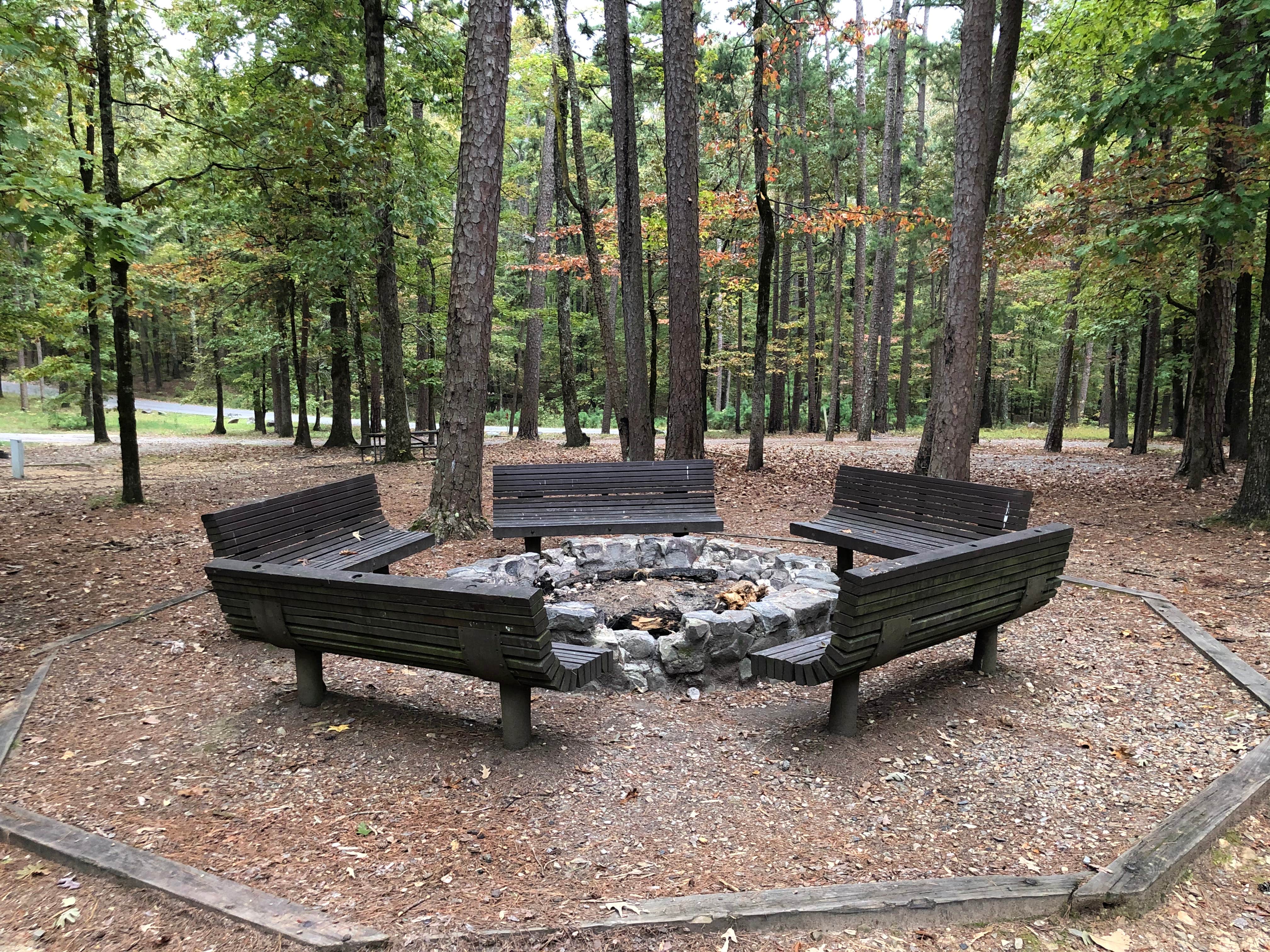 Camper-submitted photo at Denby Point near Oden, AR