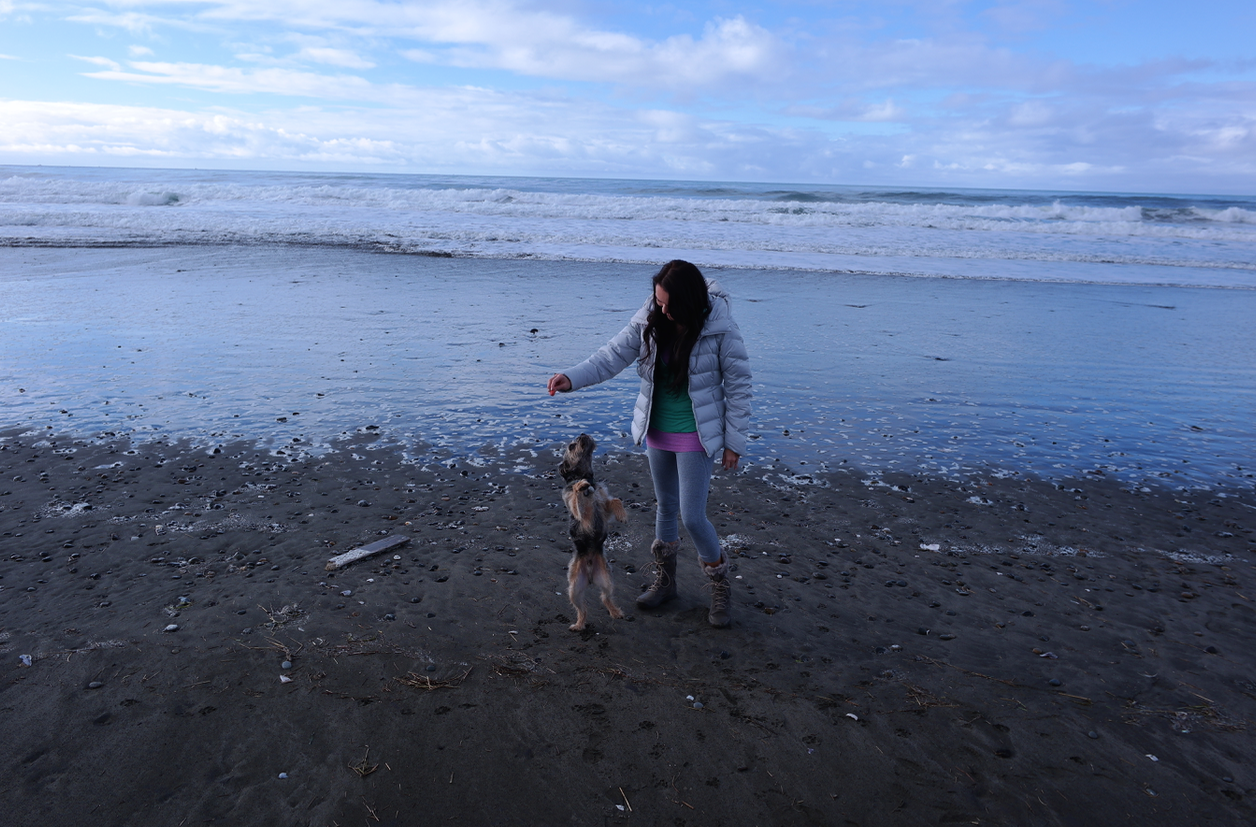 Camper submitted image from Westport Recreation Park - 4