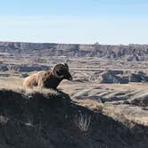 Review photo of Sage Creek Campground by Linette G., May 21, 2018