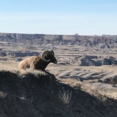 Review photo of Sage Creek Campground — Badlands National Park by Linette G., May 21, 2018