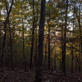 Review photo of Hickory Nut Mountain by Emerald B., October 23, 2020