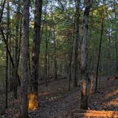 Review photo of Hickory Nut Mountain by Emerald B., October 23, 2020