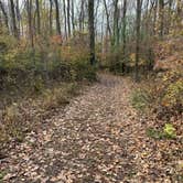 Review photo of Maumee Bay State Park Campground by Marla S., October 21, 2020