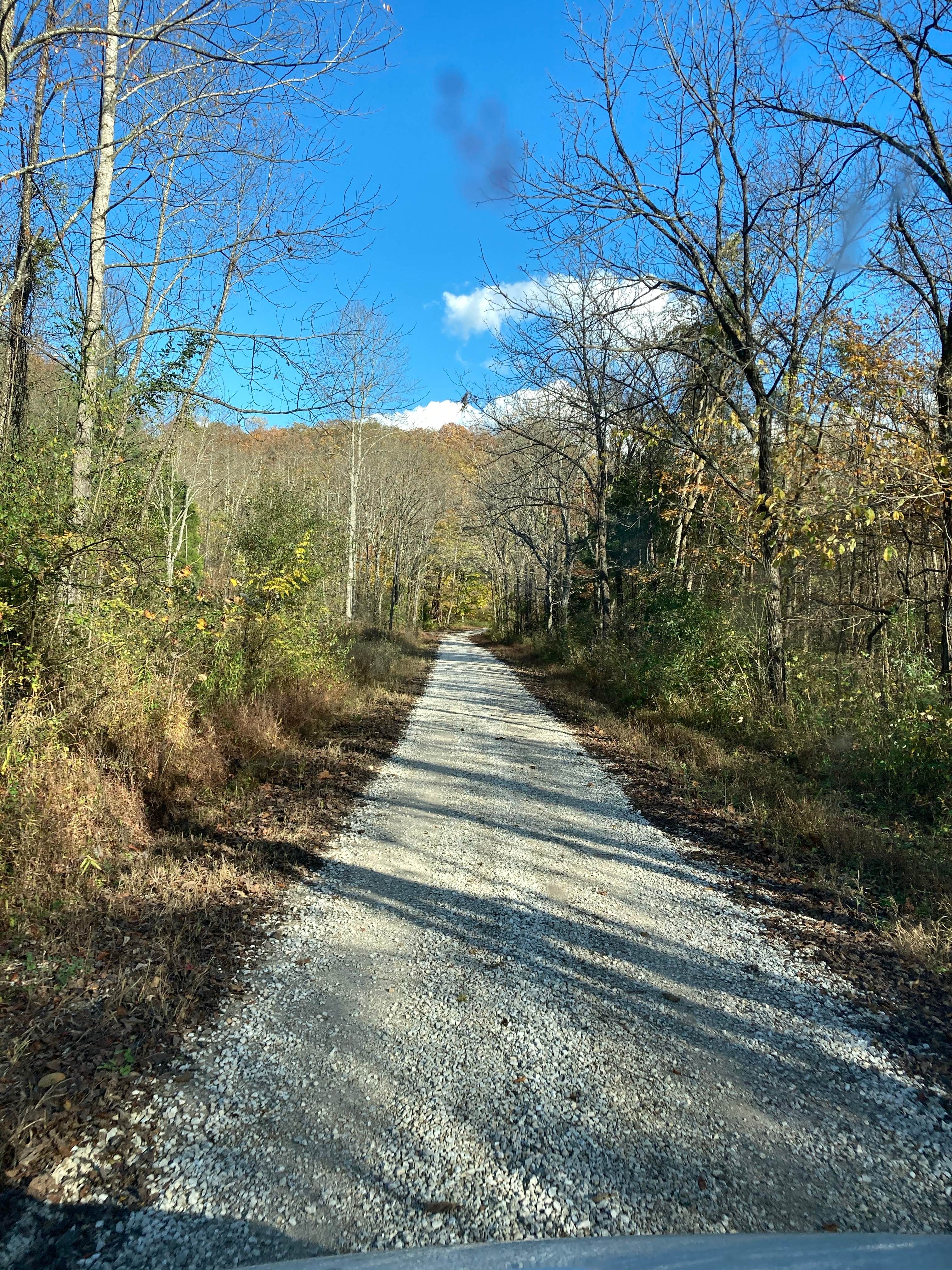 Camper-submitted photo at Mitchell Creek Road Dispersed near Sulphur, IN