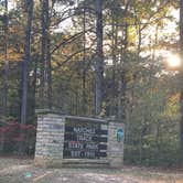Review photo of Cub Lake Campground #2 — Natchez Trace State Park by Alexandra T., October 23, 2020